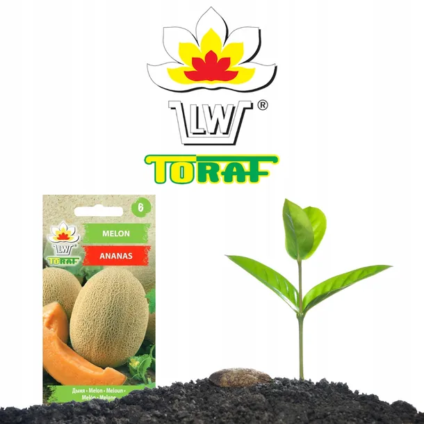 toraf-nasiona-melon-ananas-1g-rodzaj-rosliny-inny