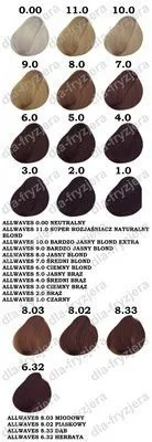 allwaves-farba-100ml-farby-do-wlosow-kolor-wlosow-do-kazdego-koloru-wlosow