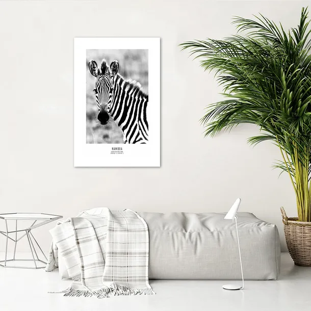 plakat-ciekawska-zebra-30x45-stan-nowy