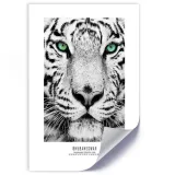 plakat-bialy-tygrys-20x30