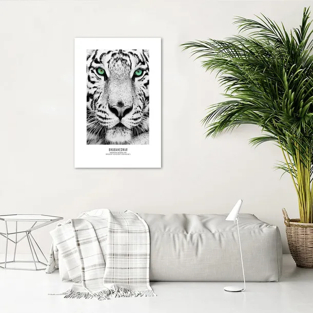plakat-bialy-tygrys-20x30-stan-nowy
