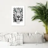 plakat-bialy-tygrys-20x30-stan-nowy