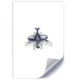 plakat-lecacy-zuk-20x30