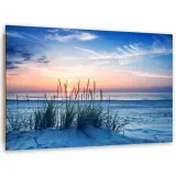 obraz-deco-panel-trawy-na-plazy-60x40