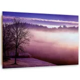 obraz-deco-panel-mgla-nad-jeziorem-90x60