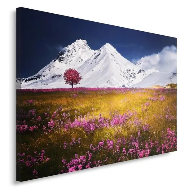obraz-na-plotnie-alpy-60x40-stan-nowy