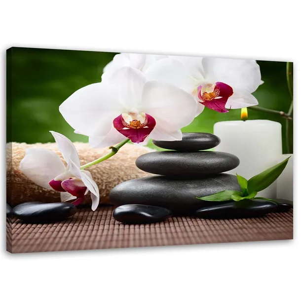 obraz-na-plotnie-orchidee-zen-120x80