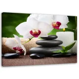 obraz-na-plotnie-orchidee-zen-60x40