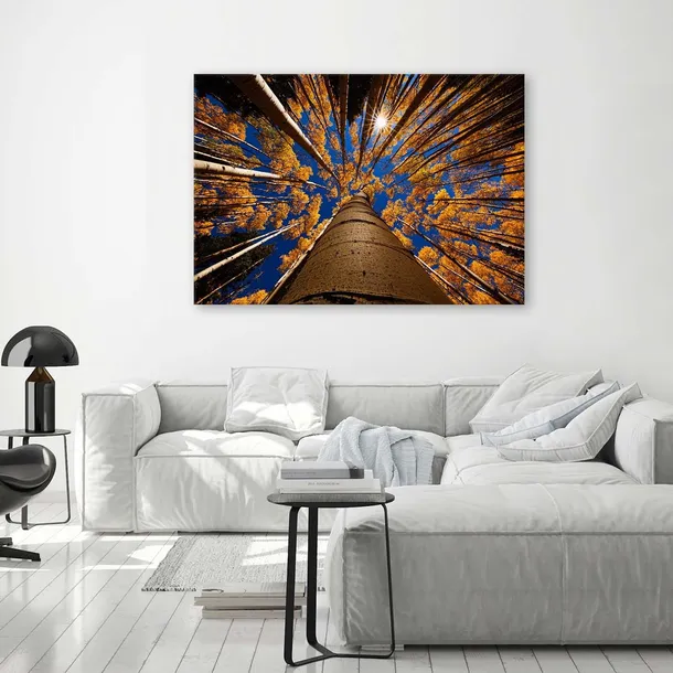 obraz-na-plotnie-korony-drzew-120x80-stan-nowy