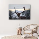 obraz-na-plotnie-jelen-120x80-stan-nowy