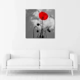obraz-na-plotnie-kwitnacy-mak-30x30-stan-nowy