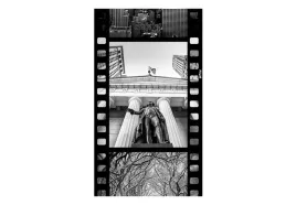 fototapeta-ny-diversity-collage