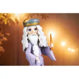 wizarding-world-6063671-lalka-19403