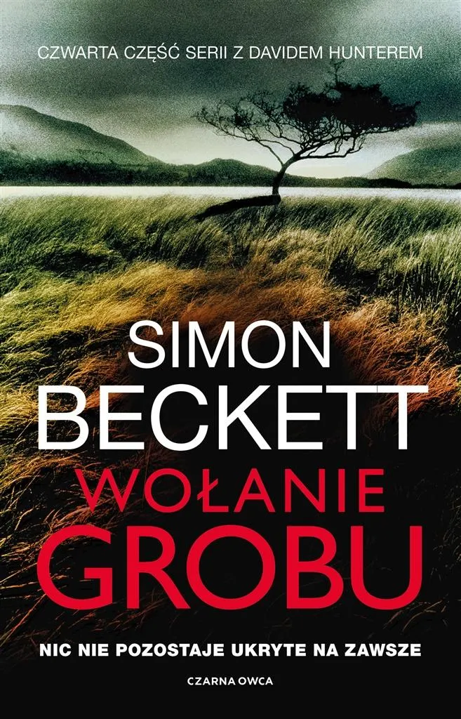 Grafika w opisie produktu