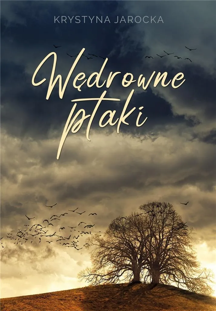 Grafika w opisie produktu