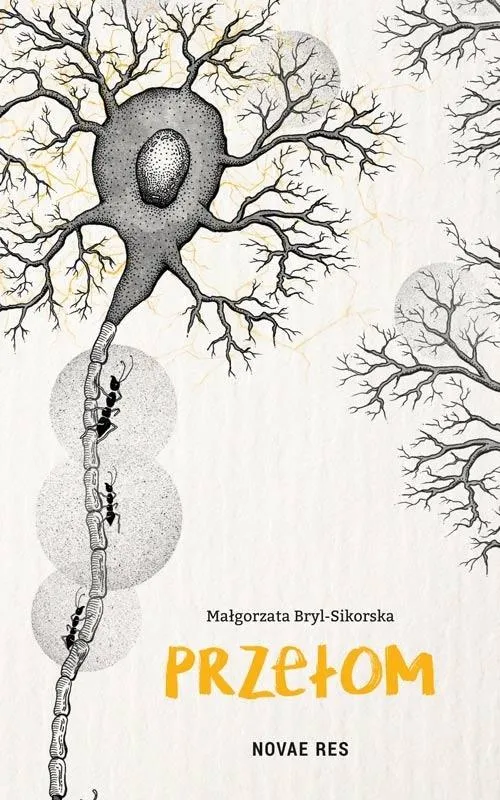 Grafika w opisie produktu