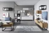 system-enjoy-c