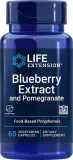 blueberry-extract-and-pomegranate-60-kaps