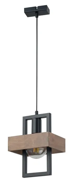 robin-1-zwis