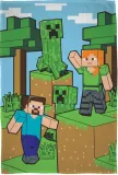 koc-minecraft-100x150-creeper-steve