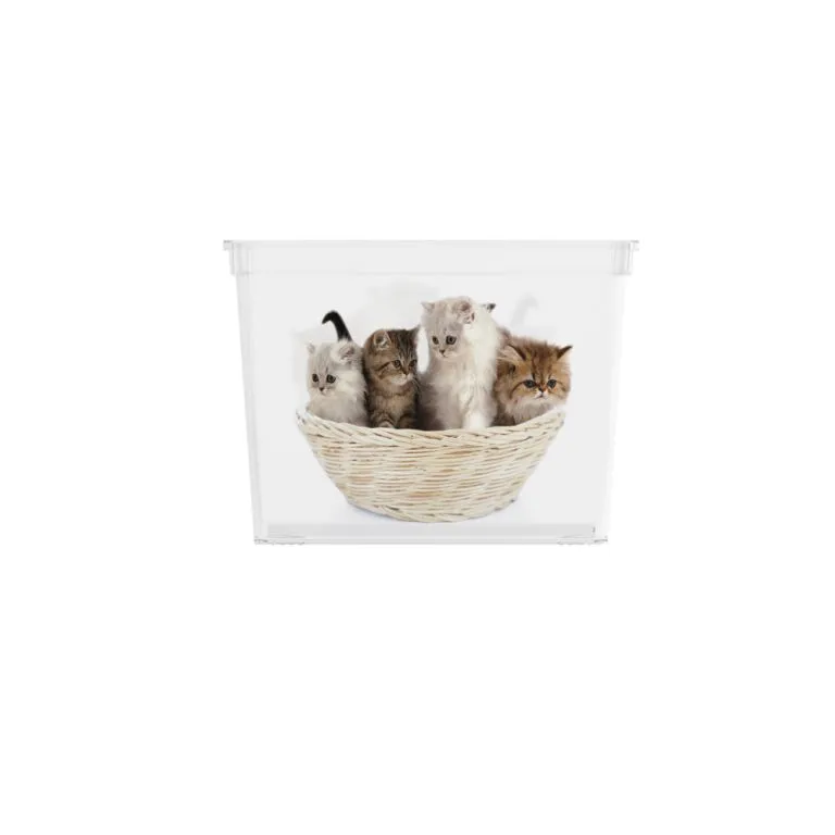 box-kis-puppy-and-kitten-cube-stan-nowy