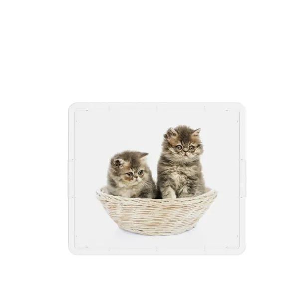 box-kis-puppy-and-kitten-cube-kolor-bezbarwny