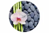 zegar-scienny-wenko-37-cm-spa