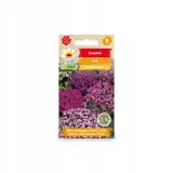 toraf-nasiona-zagwin-mix-03g-rodzaj-rosliny-inny
