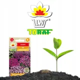toraf-nasiona-zagwin-mix-03g-rodzaj-rosliny-inny