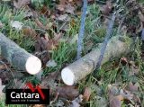 pila-lancuchowa-100-cm-marka-inny-producent