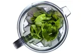 g21-blender-excellent-czerwony-tryby-pracy-brak