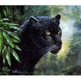 obraz-56207-puma