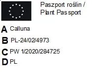 wrzos-pospolity-05l-robert-chapman-kod-produktu-1032262-rodzaj-rosliny-wrzosy-i-wrzosce