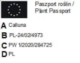 wrzos-pospolity-05l-robert-chapman-kod-produktu-1032262-rodzaj-rosliny-wrzosy-i-wrzosce