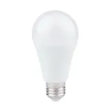 zarowka-led-10w-a60-e27-rgb-pilot