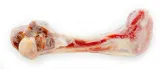 kosc-prosciutto-bone-cala