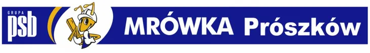 dekoracja-scienna-kotek-021-stan-nowy