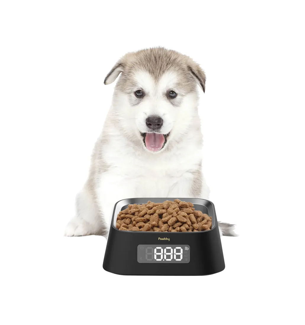 inteligentna-miska-pawbby-smart-bowl