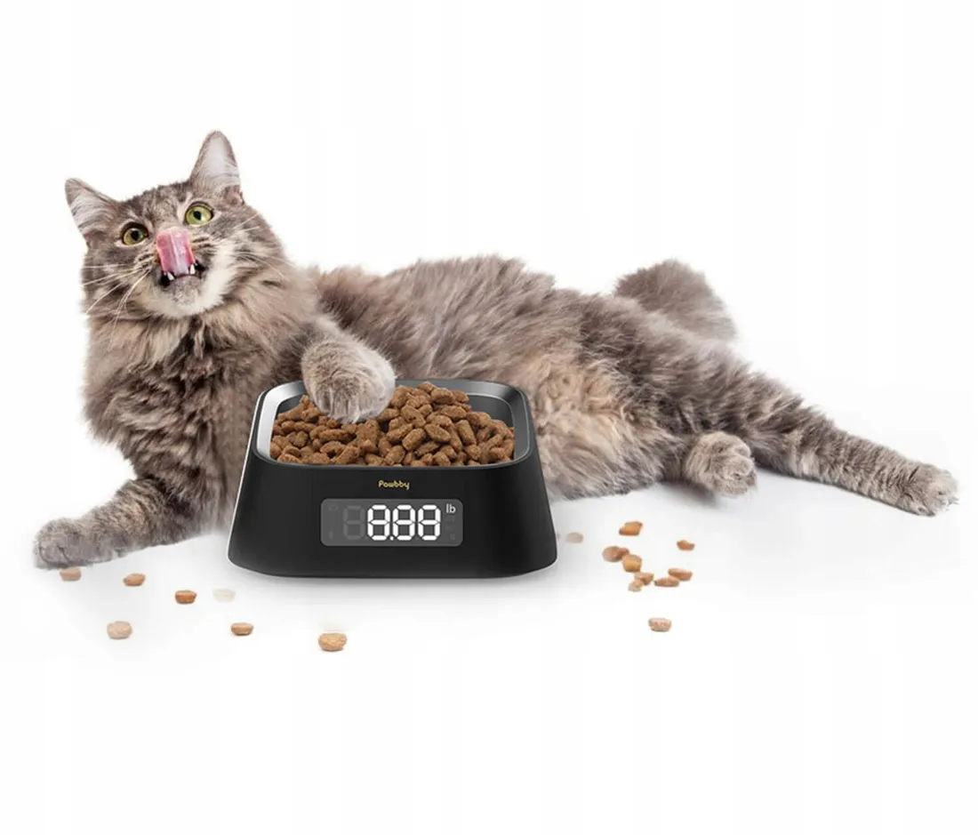 inteligentna-miska-pawbby-smart-bowl