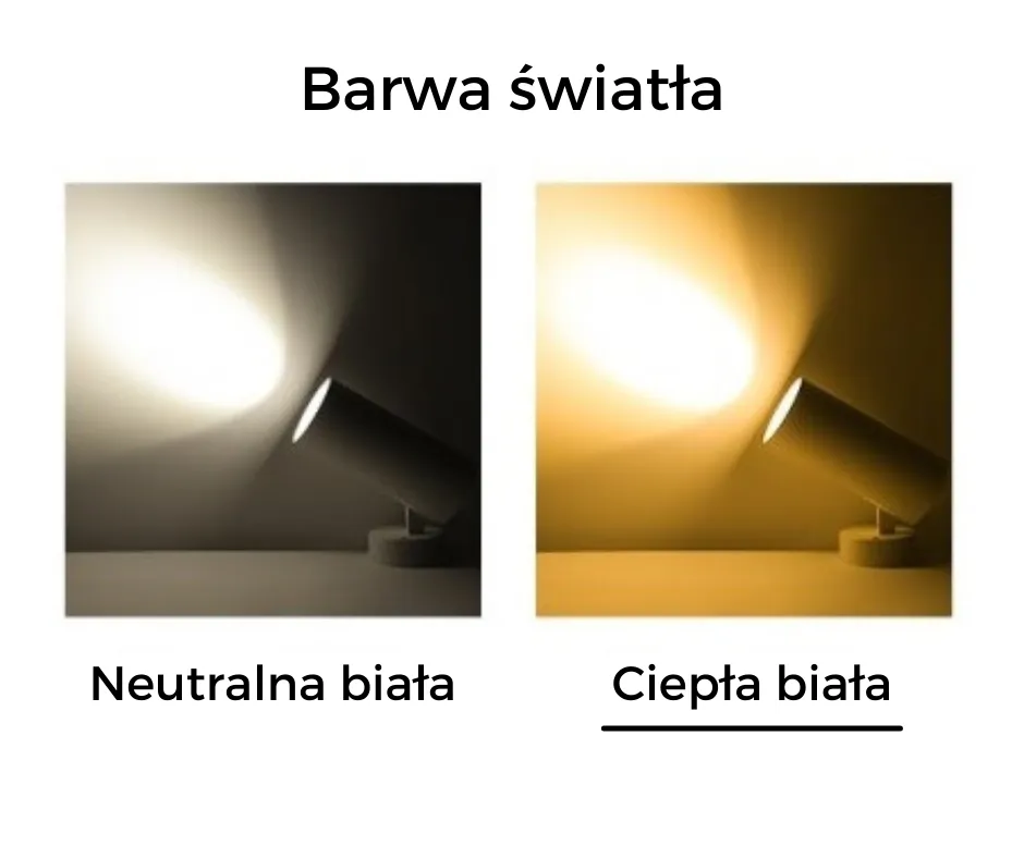 reflektor-blaupunkt-drn-12ww-12w