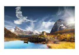 fototapeta-bird-cloud-rozmiar-450x270