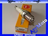 swieca-zaplonowa-ngk