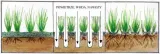 aerator-weibang-wb457ab-wb457ab-produkt-wprowadzony-do-obrotu-na-terenie-ue-przed-13-12-2024-tak