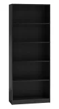 regal-r60-czern