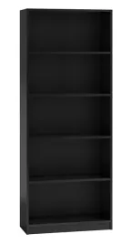 regal-r60-czern