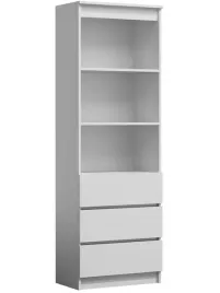 regal-rs-60-biel