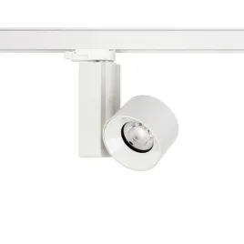 ctls-nea-led-20w-4000k