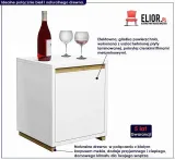 kontenerek-do-biurka-inelo-d6-stan-nowy