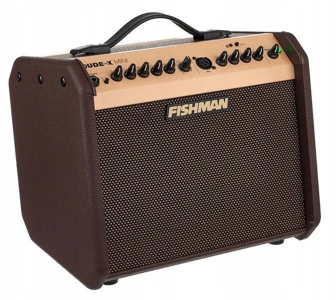 fishman-loudbox-mini-bluetooth-combo-gitarowe-stan-nowy