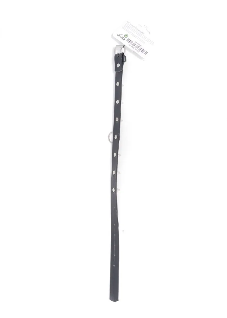 fetish-boss-series-collar-with-studs-2-cm